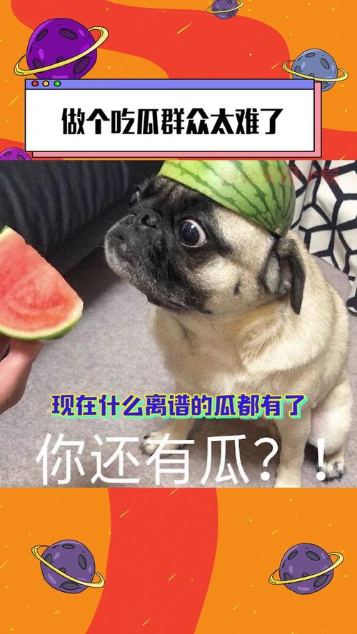 吃瓜有那么难,揭秘吃瓜背后的那些事儿