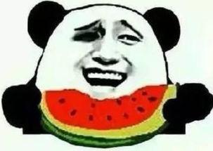 吃瓜群众试探实力,揭秘网络舆论场的暗流涌动
